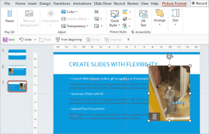 How to Embed a GIF in PowerPoint | 4 Easy Methods - AiPPT