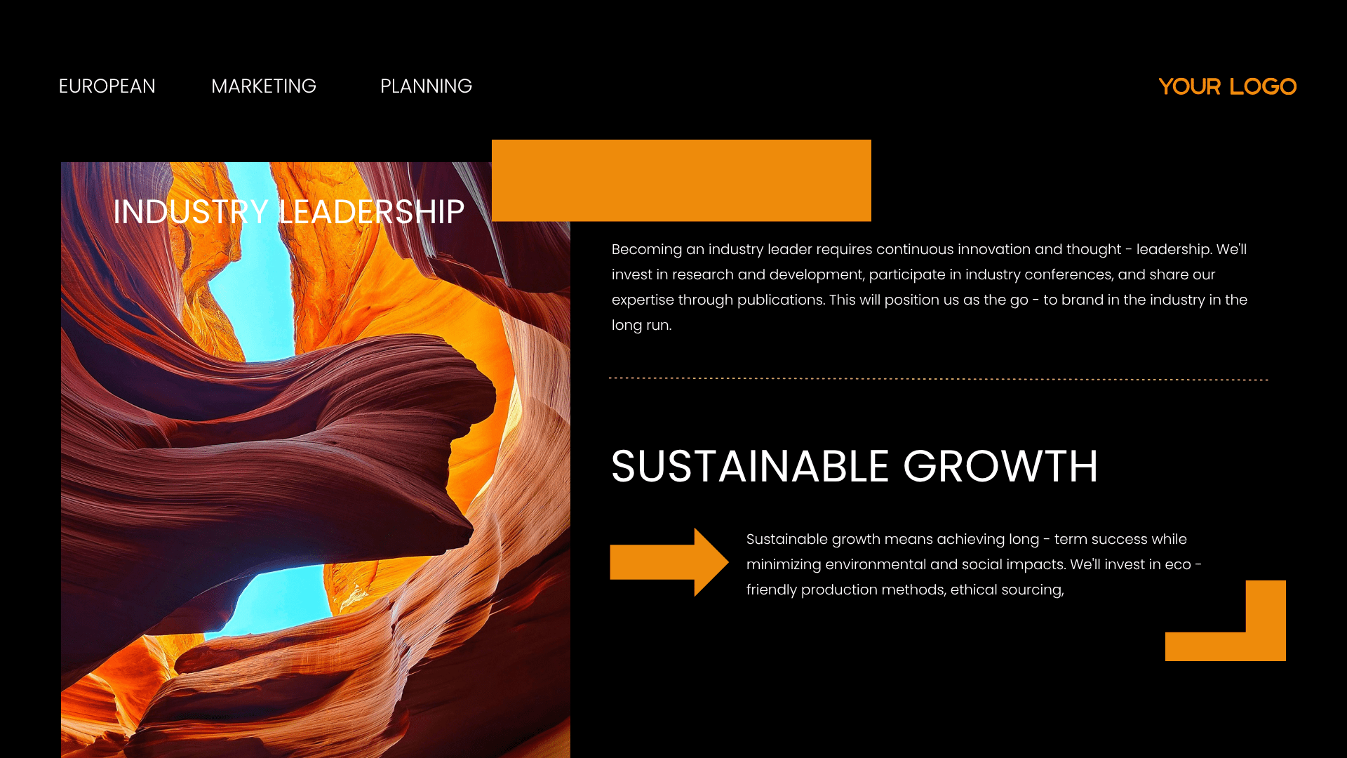 Example slides for marketing presentation​