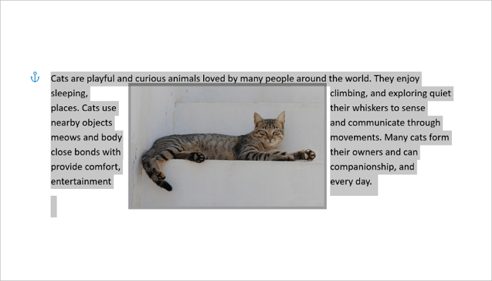 copy wrapped text and image