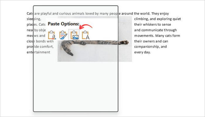 paste text into powerpoint