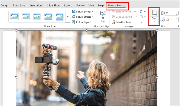 4 picture format menu